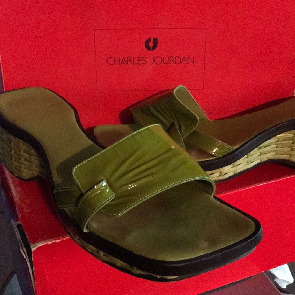 CHARLES JORDAN COMANOSO PISTACHE PATENT SLIDES